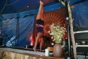 Handstand-Workshop-beim-Spirit-of-Nature-Yogafestival-Juni-2017-008